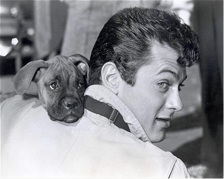 Tony Curtis Turns 85